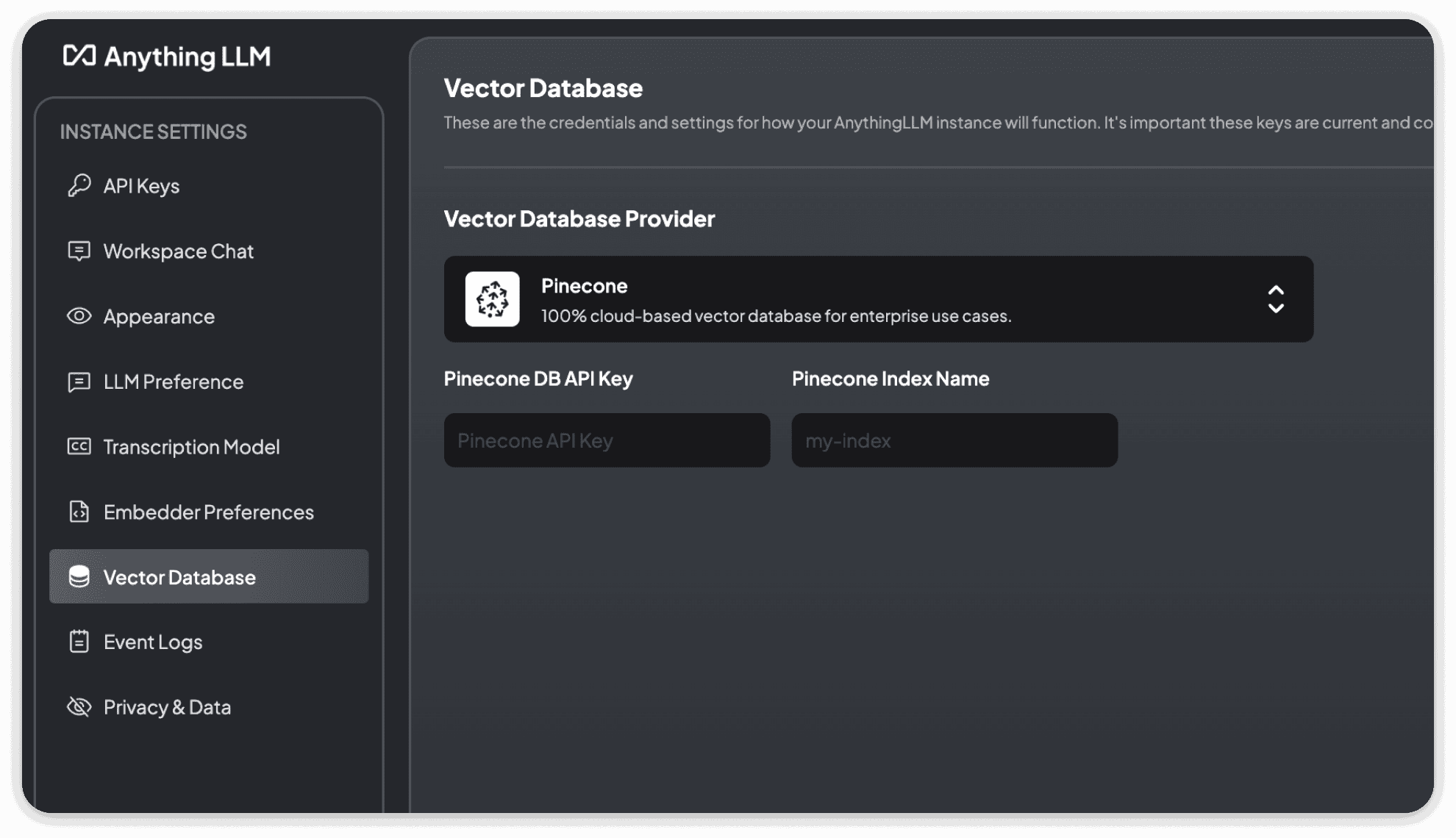 Pinecone Vector Database Settings